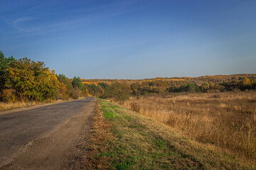 Fototapeta na wymiar forest road in autumn in a Russian village
