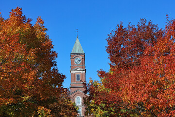 Fototapeta na wymiar oak trees in fall colors surrounding tall brick clock tower