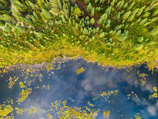 Aerial view of colorful pond in the marshlands during a fall season day. Taken in Yukon, Canada.