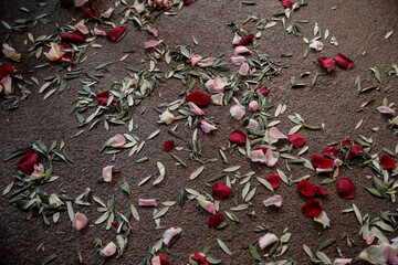 red and white flowers on the pavement