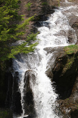 Naklejka premium 竜頭ノ滝