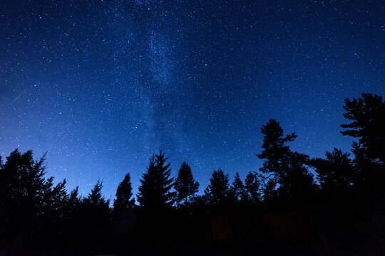 Beautiful starry sky over the night forest