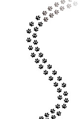 Fonto de pantalla, wallpaper para celular huellas de gato blanco