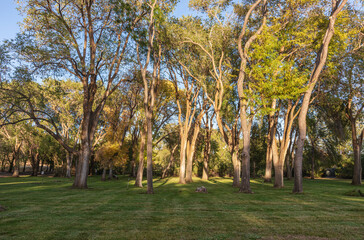 Maryhill museum trees and field Washington state.