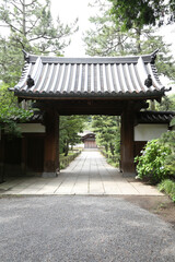 Fototapeta premium 三渓園