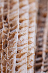 Textura de hoja de pl&aacute;tano