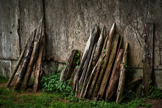 Holz