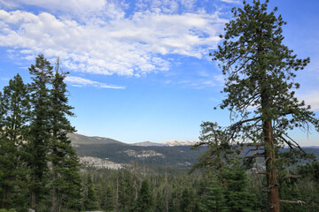 On the way to Yosemite National Park