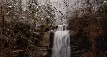 Obraz premium waterfall in the forest