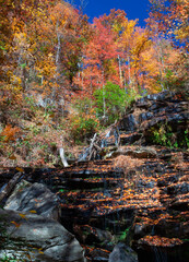 autumn surrounds waterfalls