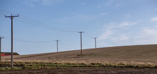 Two rows of powerlines crossing a stubble covered field