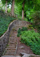Obraz premium Walkway in the woods