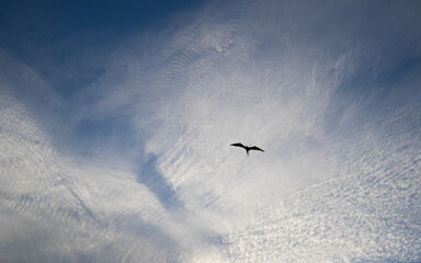 Tamarindo, Costa Rica