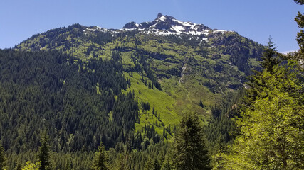 Obraz premium Mount Rainier