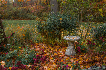 autumn leaves in a garden