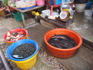 Fish sold by the side of the rail where the train passes, Maeklong Railway Market, Bangkok, Thailand