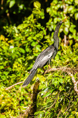The overwhelming beauty of the flora and fauna of Costa Rica. Photos taken during a tour through this beautiful country,
