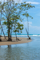 The overwhelming beauty of the flora and fauna of Costa Rica. Photos taken during a tour through this beautiful country,
