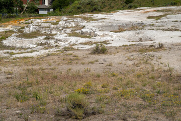 Fototapeta na wymiar Opal Terrace, located across the road from the Mammoth Hot Springs Terraces, is a dried up hot spring