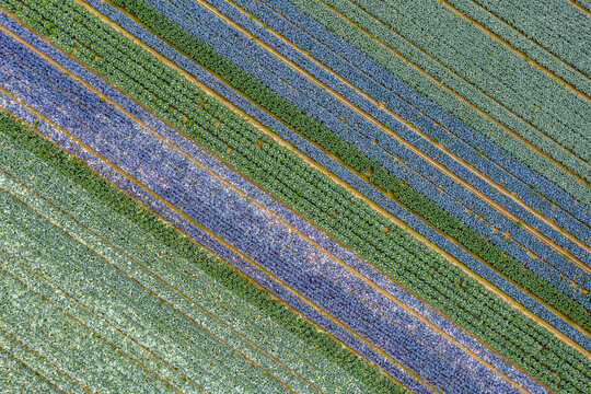 Aerial Sauvie Island Portland