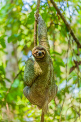 The overwhelming beauty of the flora and fauna of Costa Rica. Photos taken during a tour through this beautiful country,
