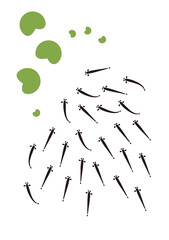 浮き草に集まるメダカのイラスト