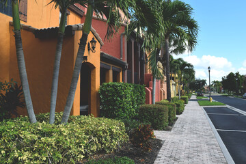 Trees in Front of a Row ofTownhouses