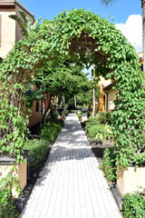 Path Through a Garden in Florida