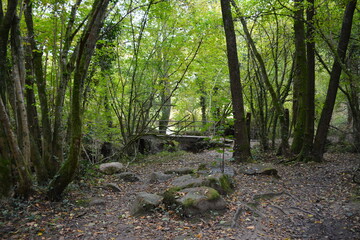 Orvault - Ville verte - La vallée du Cens