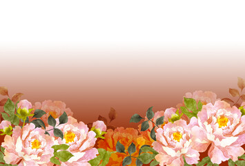 ピンクの牡丹の花　赤背景