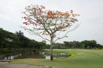 ジャカルタのゴルフ場