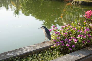 バリ島のホテル