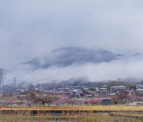 Fototapeta na wymiar Frosty scenery in the Japanese countryside in Winter