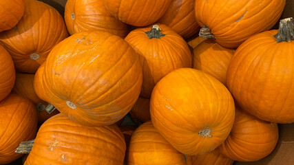 pile of pumpkins - 387498564