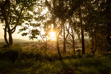 Fototapeta na wymiar Luz del sol en el atardecer atravesando un árbol y en el fondo pueblo de Salento Quindío