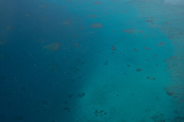 グレートバリアリーフ