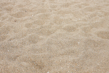 Golden beach sand. Copy space. Sand on the seashore