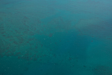 グレートバリアリーフ