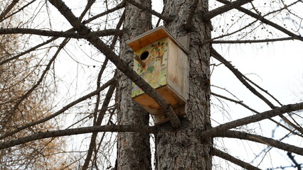 birdhouse on a tree