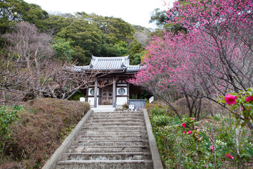 乾坤山11寺（大黒堂)