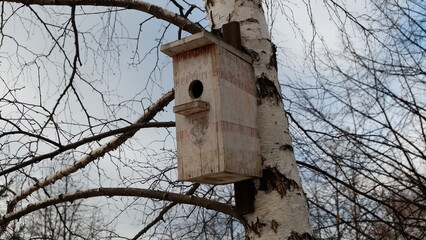 bird house on a tree