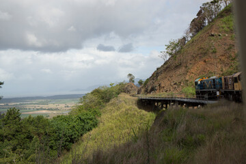 キュランダの熱帯雨林