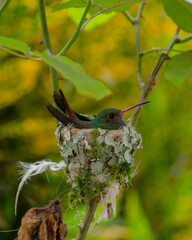 Como el amor de mamá, ninguno.  © Ana María Jaramillo