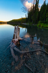 Naklejka premium Beautiful Scenery by the lake in Canadian Nature. Moody Sunset Artistic Render. Taken near Whitehorse, Yukon, Canada.