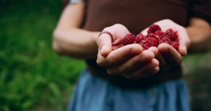 The hands of a young woman as she is holding some raspberries