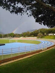 Fototapeta premium park in the park