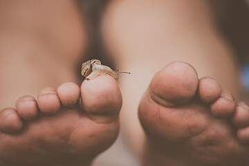 Obraz premium snail on toes