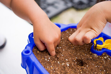 朝顔の種植えで穴をほじる子供達の手元