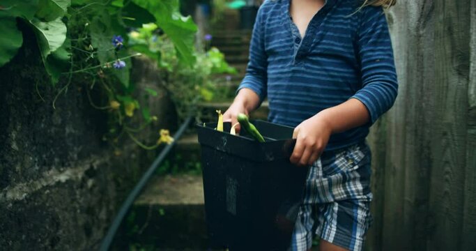 A little preschooler is carrying a bucket of vegetables from the garden