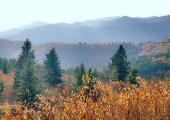 An Autumn grassy landscape of the Blue Ridge Mountains in North Carolina.